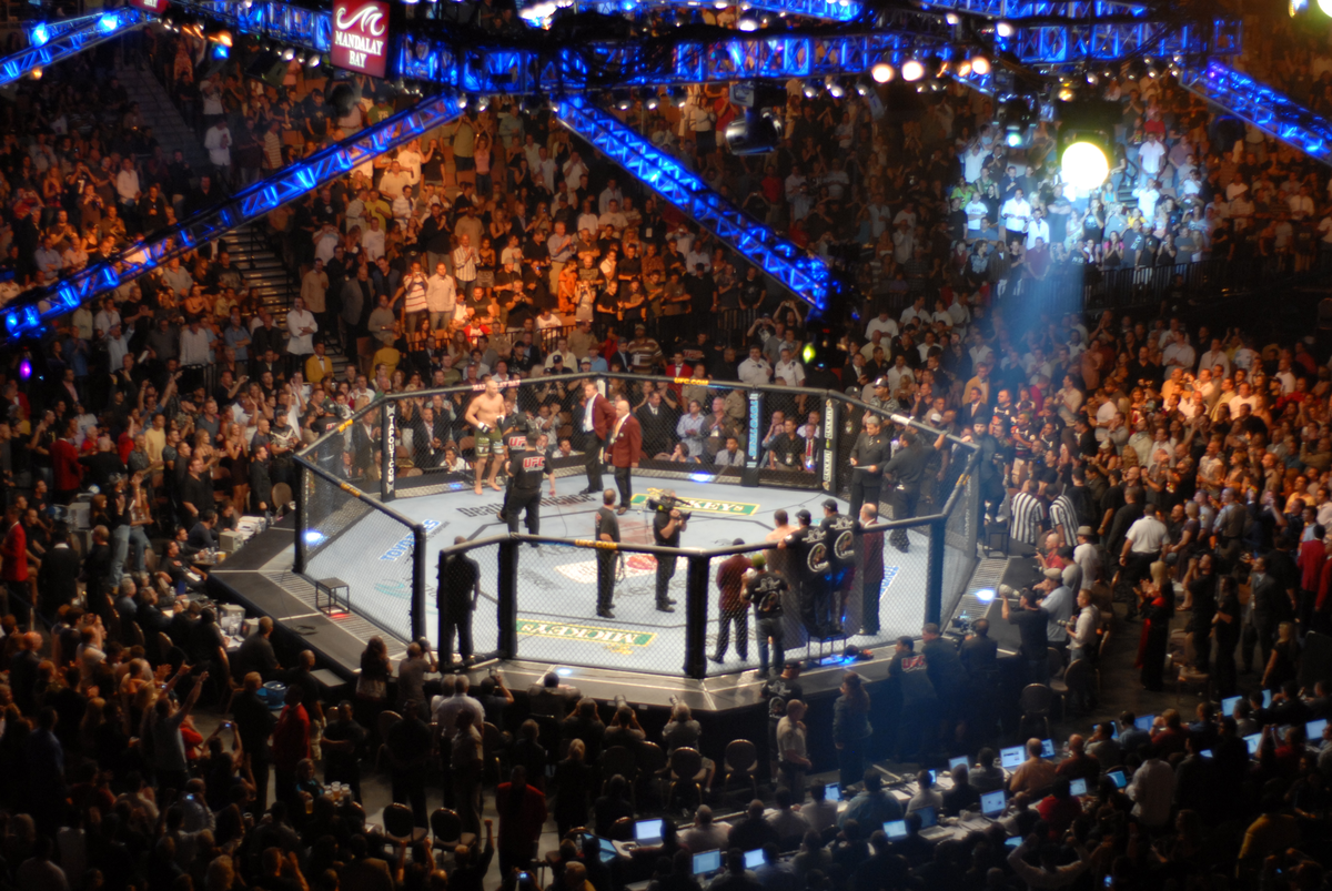 UFC and Boxing